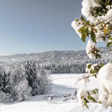 Boutiquehotel Zeitwert Deutschlandsbergi járás